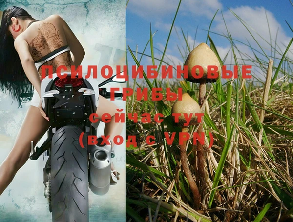 MDMA Новодвинск