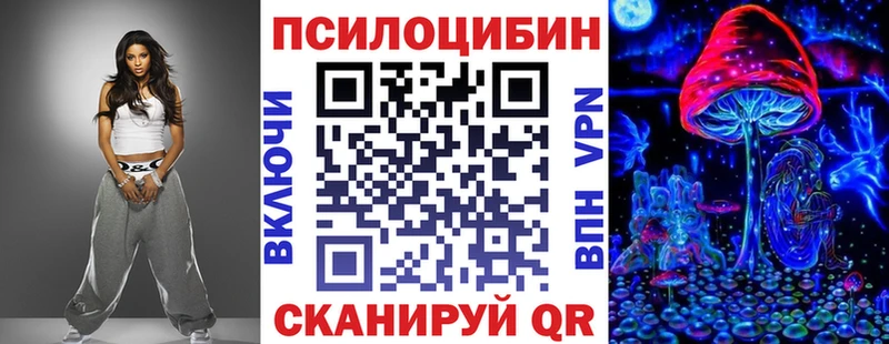 Купить где  Апрелевка  Псилоцибиновые грибы Psilocybe 